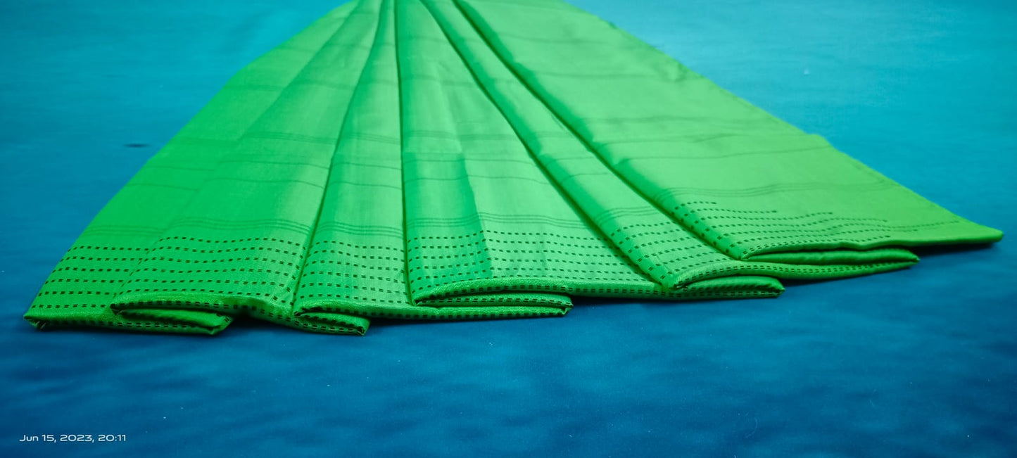 Noil Silk Temple Border Saree light green color